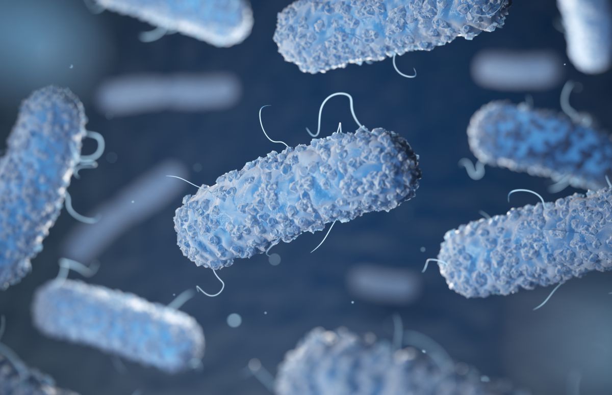 Is shigella infection life-threatening?